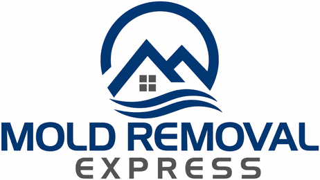 Mold Removal Express